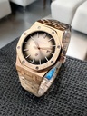 AUDEMARS PIGUET ( AP ) 19 Color Variation